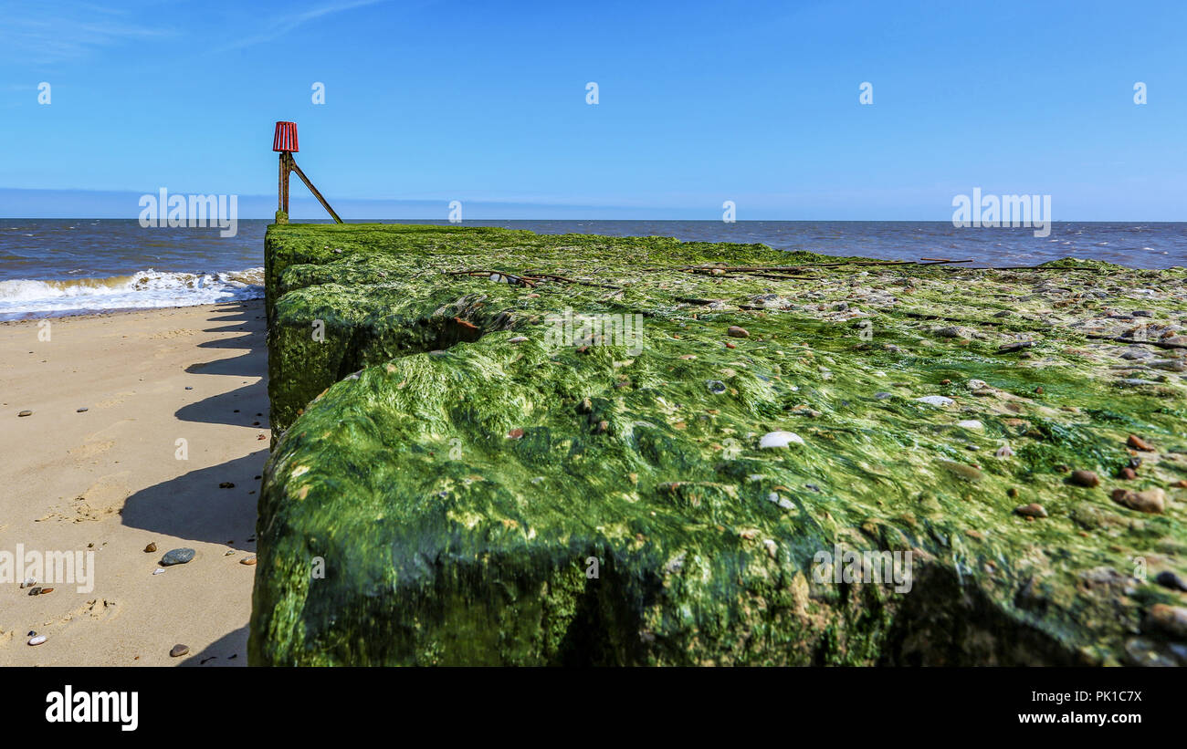 The Sea Wall Stock Photo Alamy