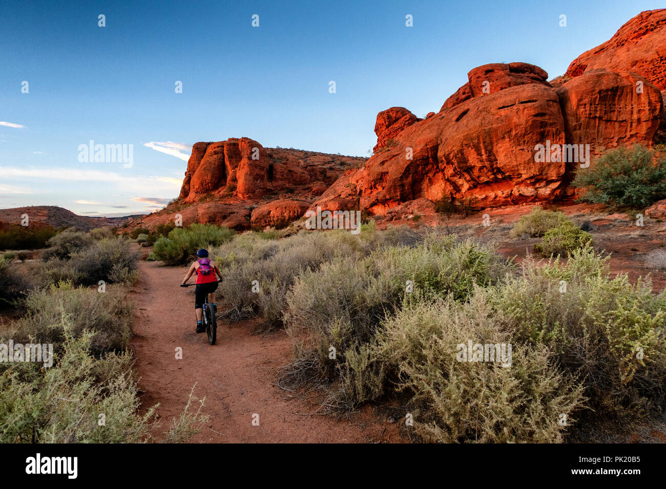 A woman rides a mountain bike the Chuckwalla trail in the Red Cliffs Desert Reserve near Saint George, Utah, USA. Stock Photo