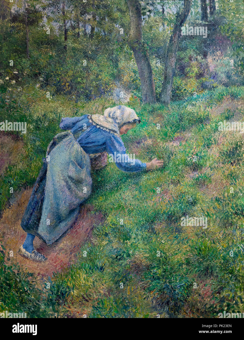 Peasant Woman Gathering Grass, Camille Pissarro, 1881, Art Institute of Chicago, Chicago, Illinois, USA, North America, Stock Photo