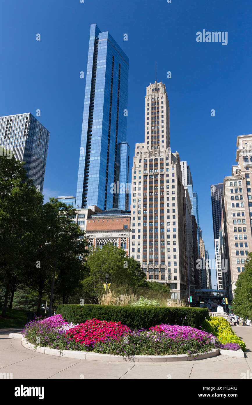 Summer flowers in bloom, Millennium Park, Chicago city center, Illinois, USA Stock Photo Alamy
