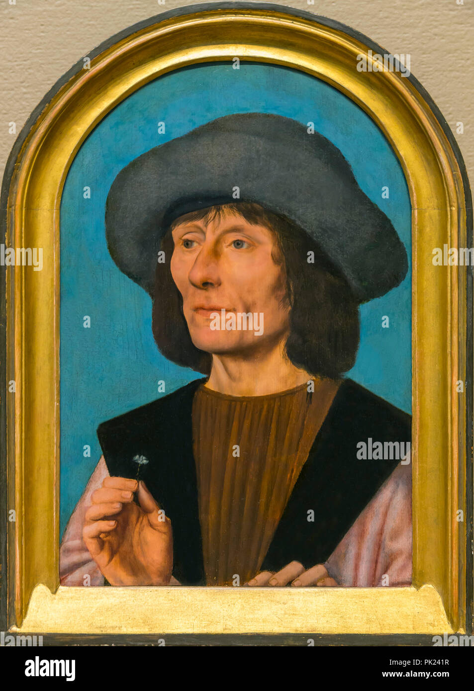Portrait of a Man with a Pink, Quentin Massys,1500-1510, Art Institute of Chicago, Chicago, Illinois, USA, North America, Stock Photo