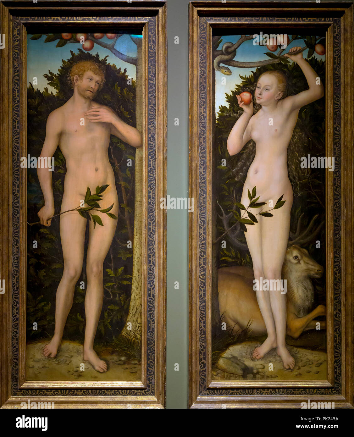 Adam and Eve, Lucas Cranach the Elder, 1533, 1537, Art Institute of Chicago, Chicago, Illinois, USA, North America, Stock Photo