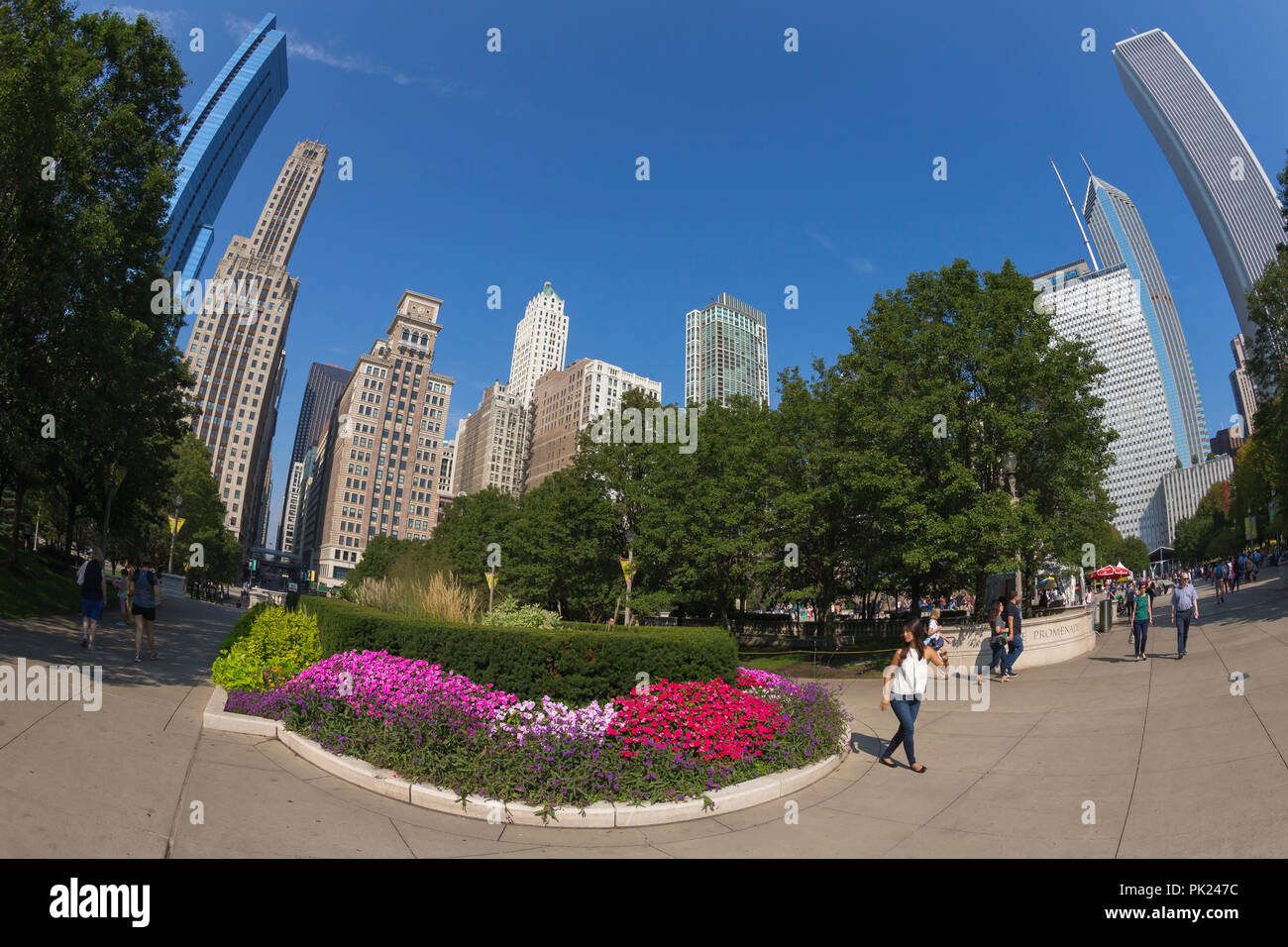 Summer flowers in bloom hires stock photography and images Alamy