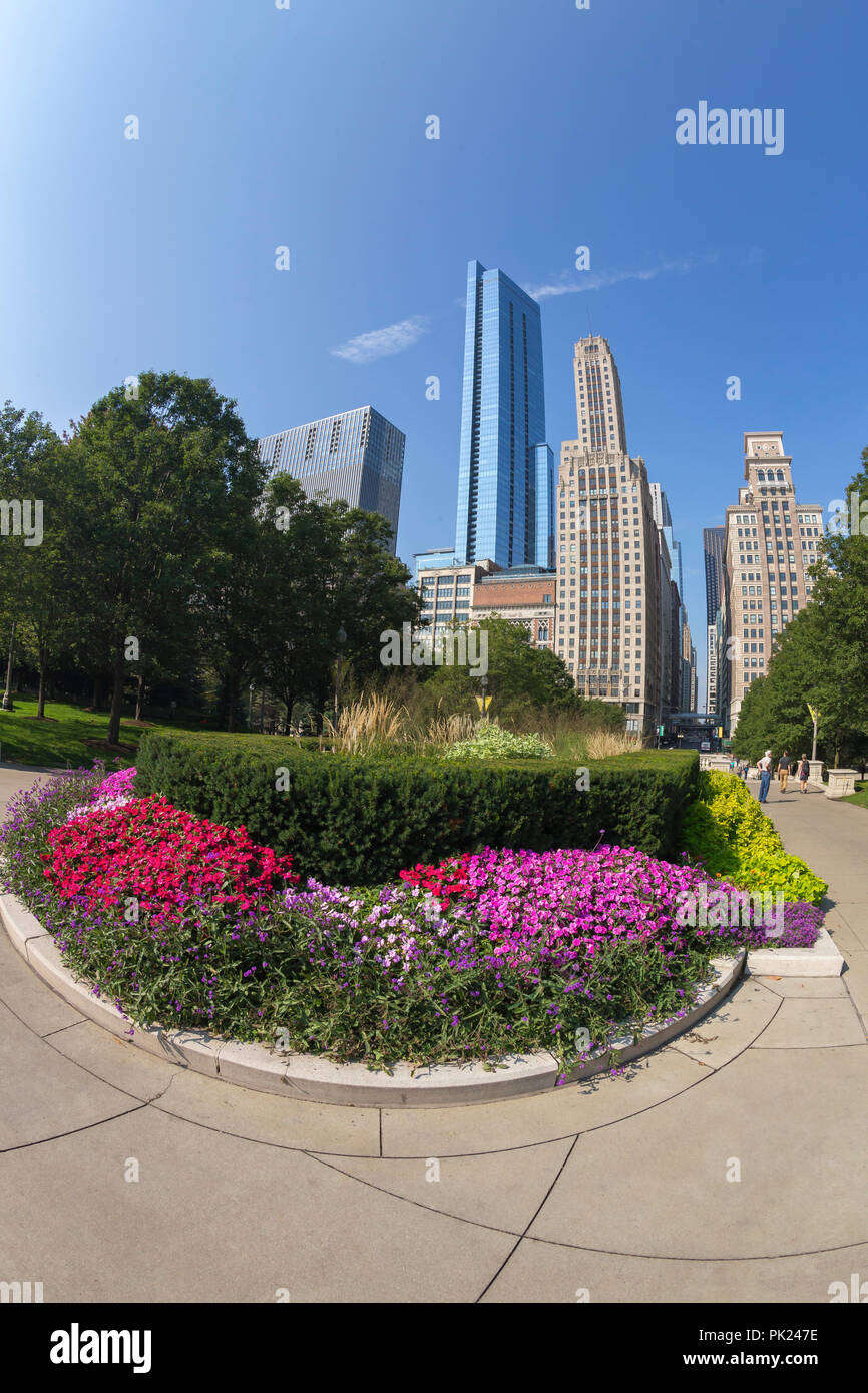 Summer flowers in bloom, Millennium Park, Chicago city center, Illinois, USA Stock Photo Alamy