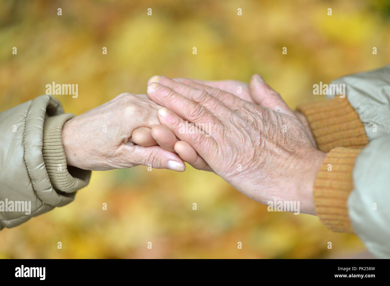 elderly couple holding hands in beautiful park Stock Photo - Alamy