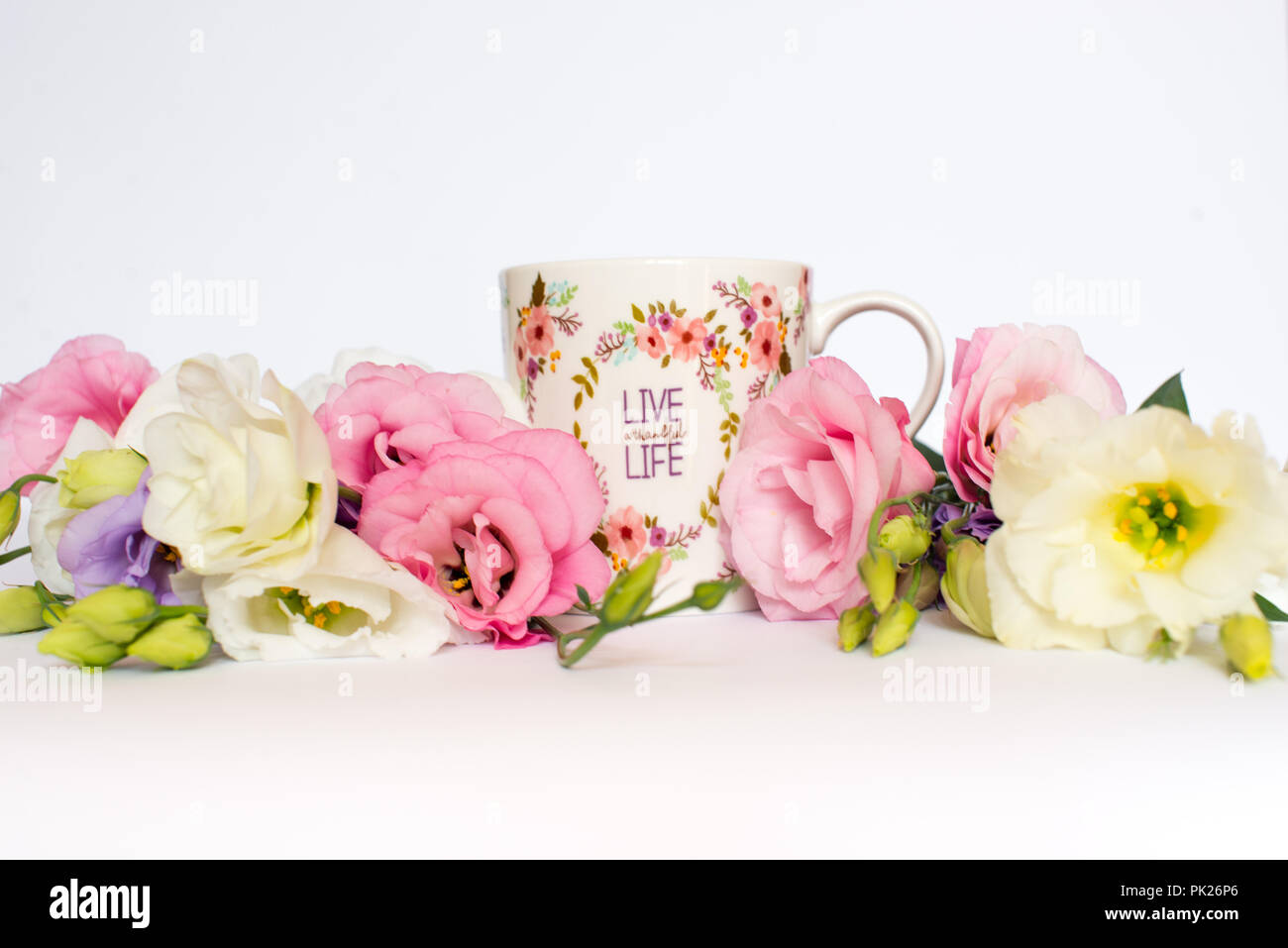 Cup of tea with flowers on white background. Copy space Stock Photo
