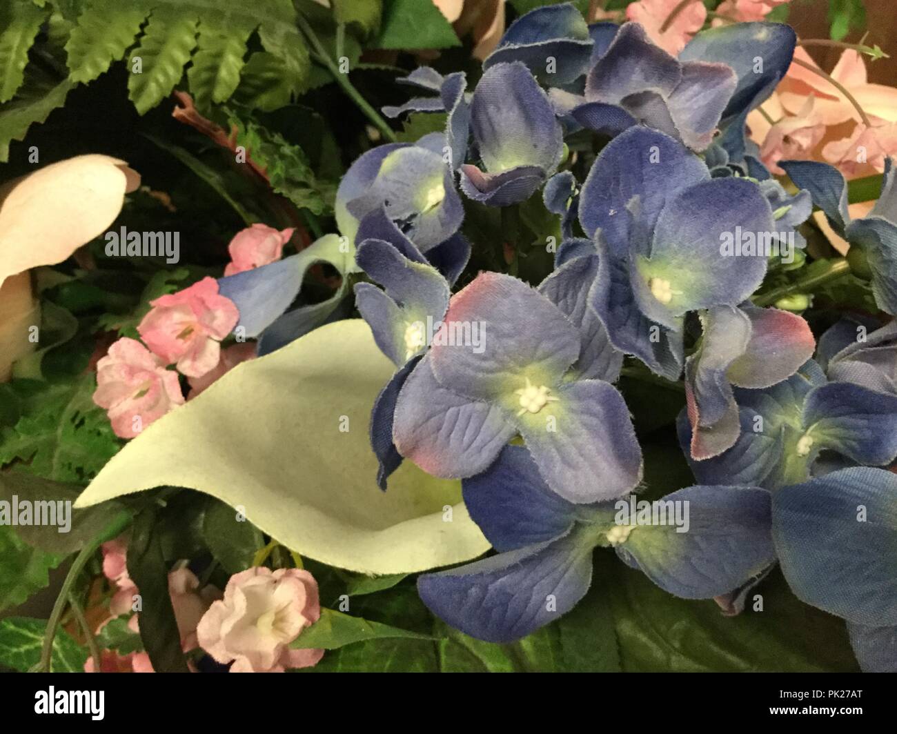A variety of flowers closeup. Stock Photo