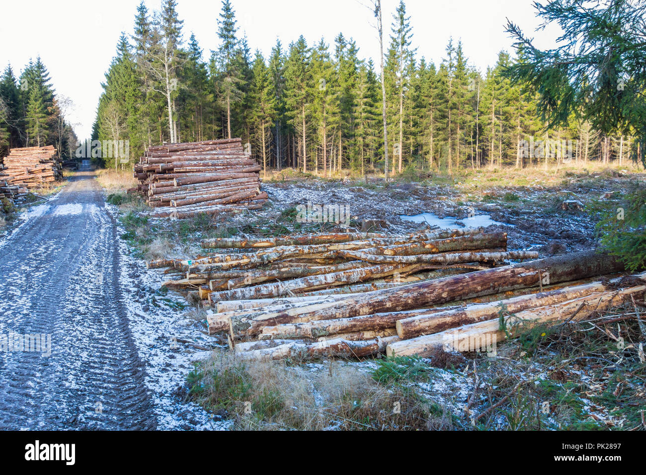 Pile of timber of the woods at a clearcut area Stock Photo - Alamy