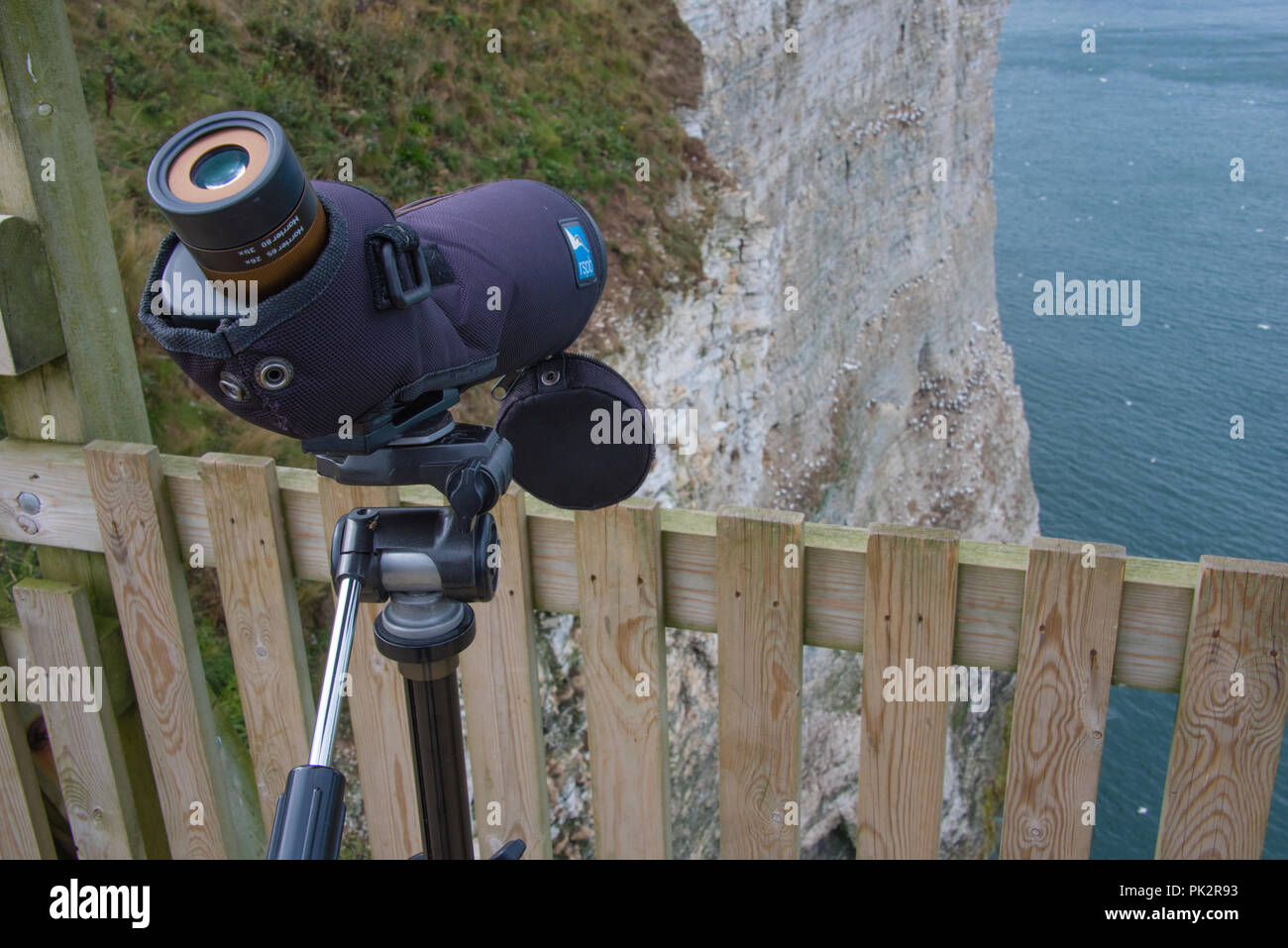 Watching the gannets nesting at Bempton Cliffs from the RSPB viewing station near Bridlington North Yorkshire Stock Photo