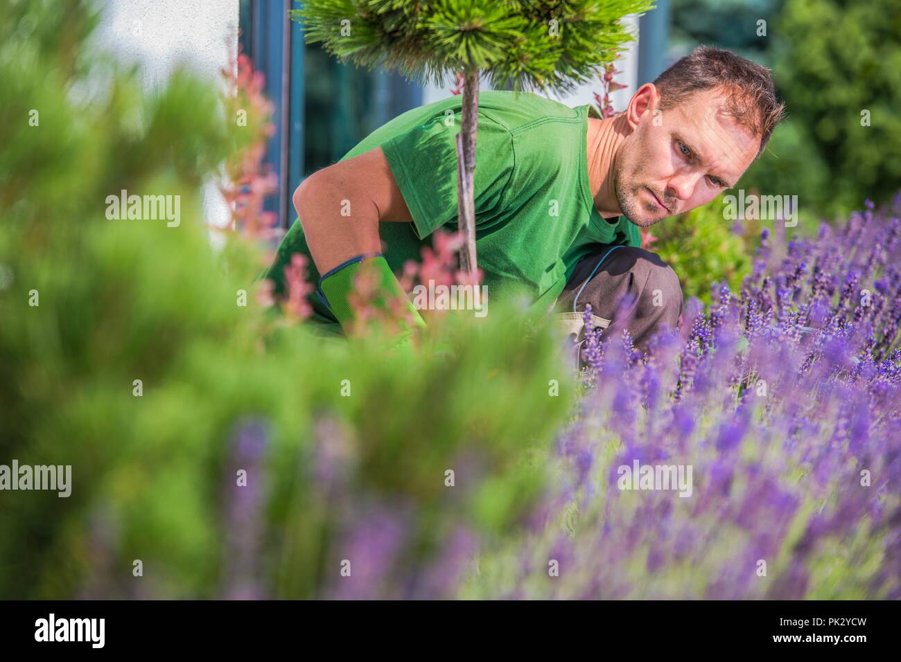 Young Caucasian Gardener in His 30s in the Backyard Garden. Stock Photo