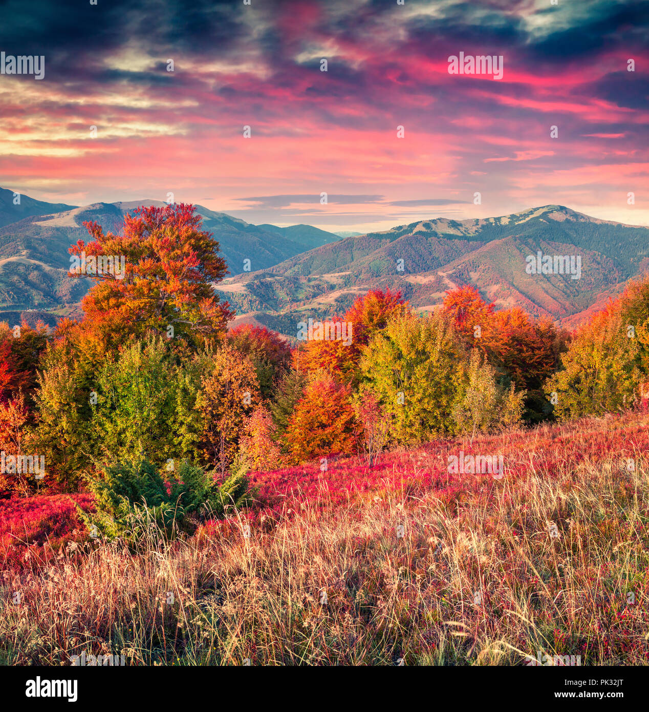 Colorful autumn sunrise in the Carpathian mountains. Krasna ridge, Ukraine, Europe. Stock Photo