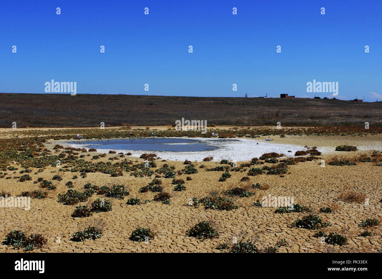 Clunch hi-res stock photography and images - Alamy