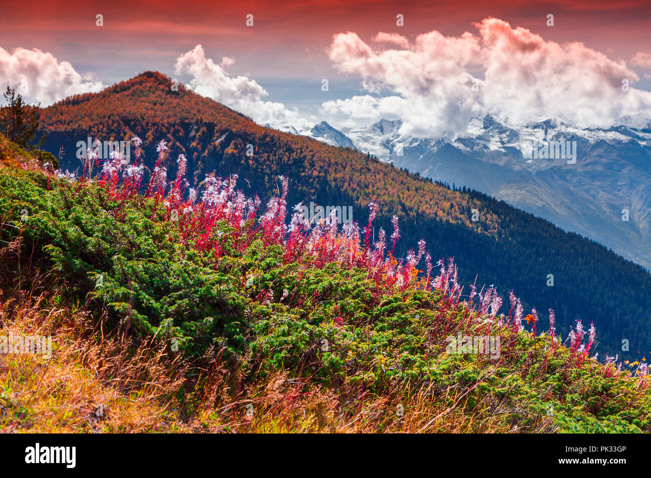 Colorful autumn morning in the Caucasus mountains. Upper Svaneti, Georgia, Europe. October 2015. Stock Photo