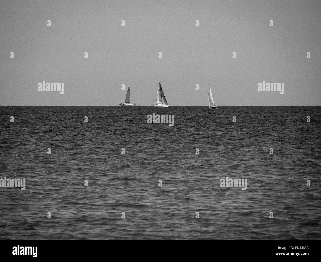 B&W Sailing Baltic Sea, Møns Klint, Mon Island, Denmark, Europe. Stock Photo