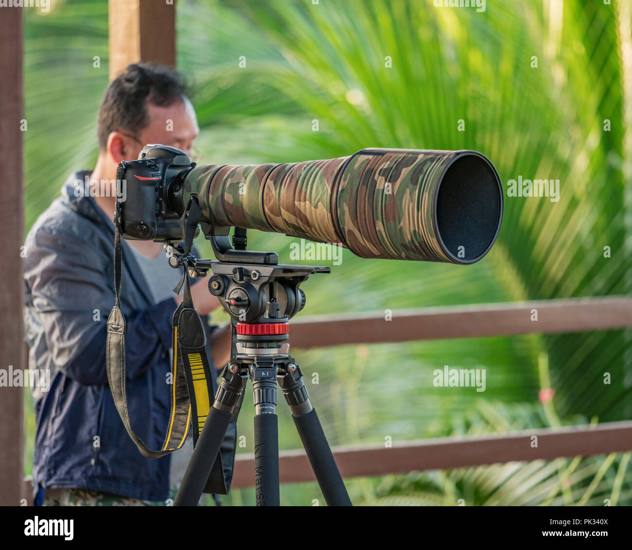 Photographer with long lens, Costa Rica. Stock Photo