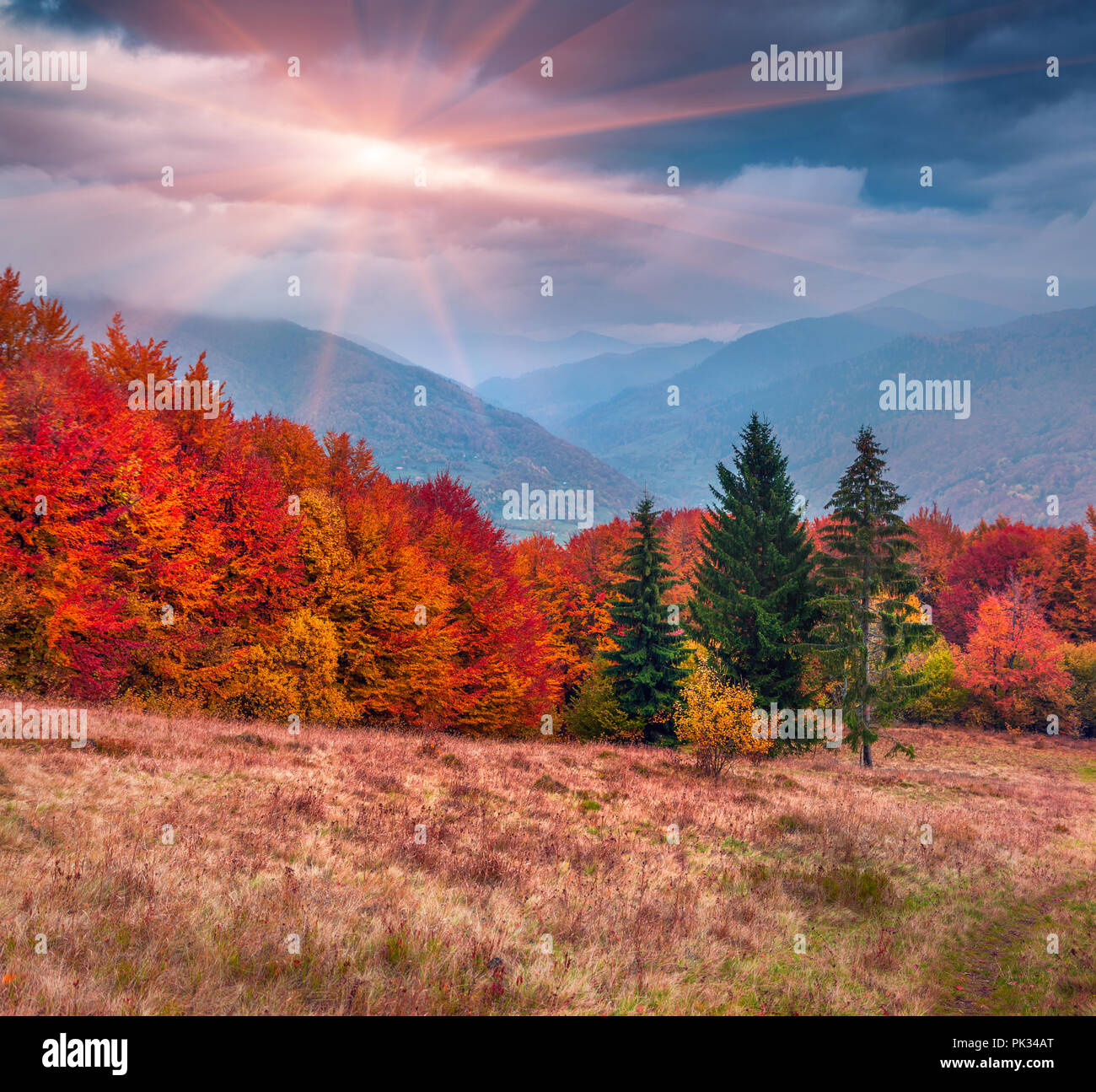 Colorful autumn sunrise in the Carpathian mountains Stock Photo