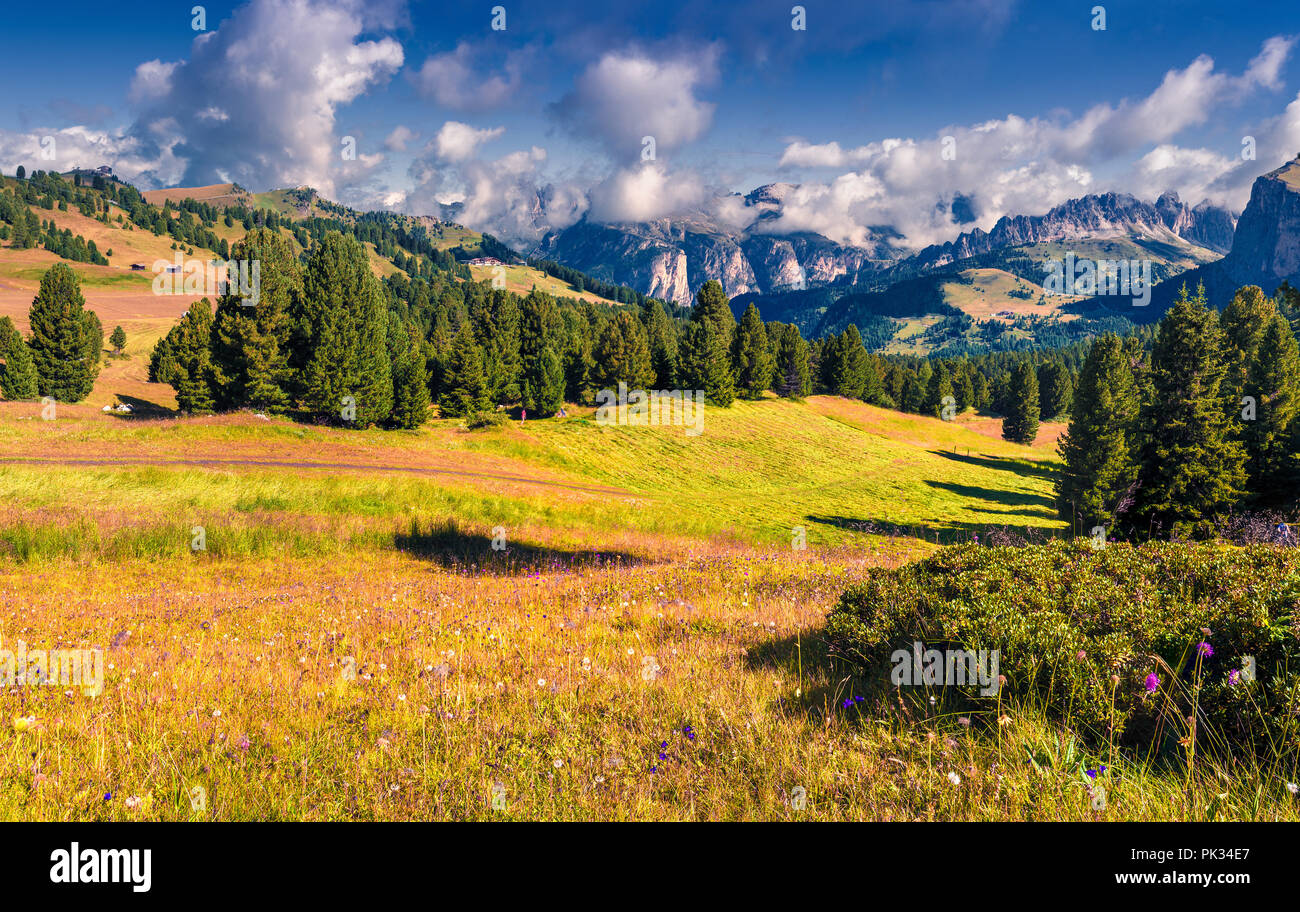 Furchetta mountain range at sunny summer day. View from Sella pass, Dolomites mountains, Italy, Europe. Stock Photo