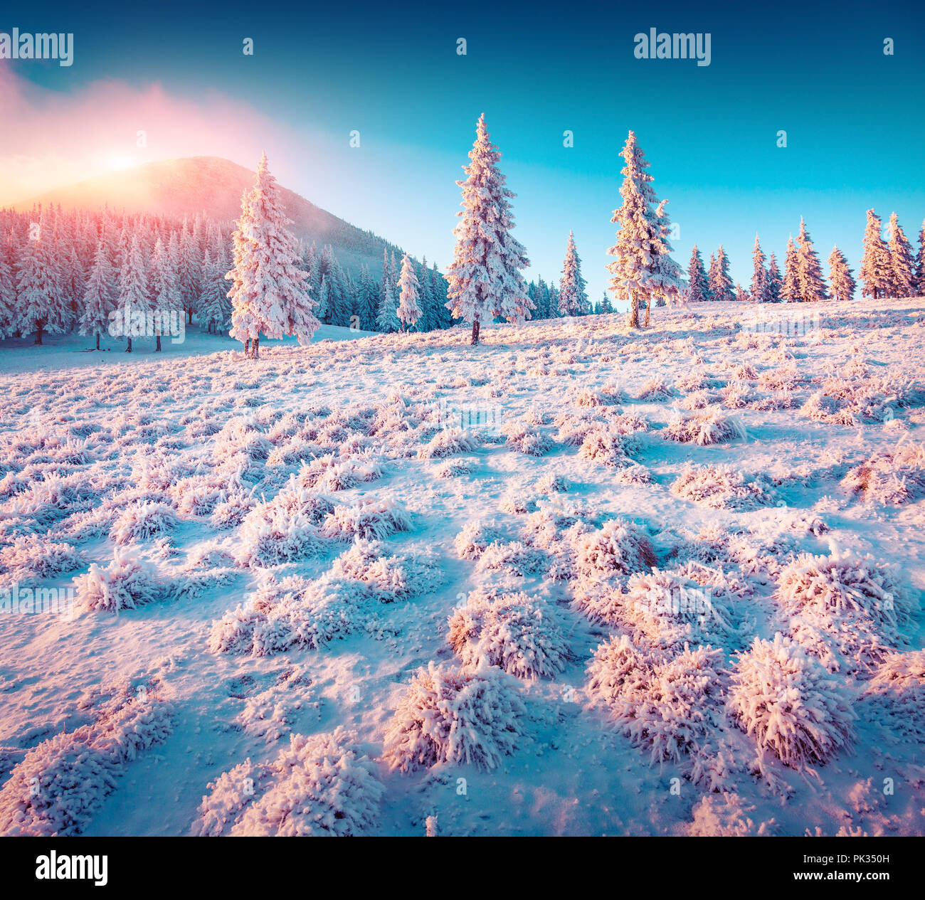 Colorful winter sunrise in the Carpathian mountain forest. Ukraine, Europe. Instagram toning. Stock Photo