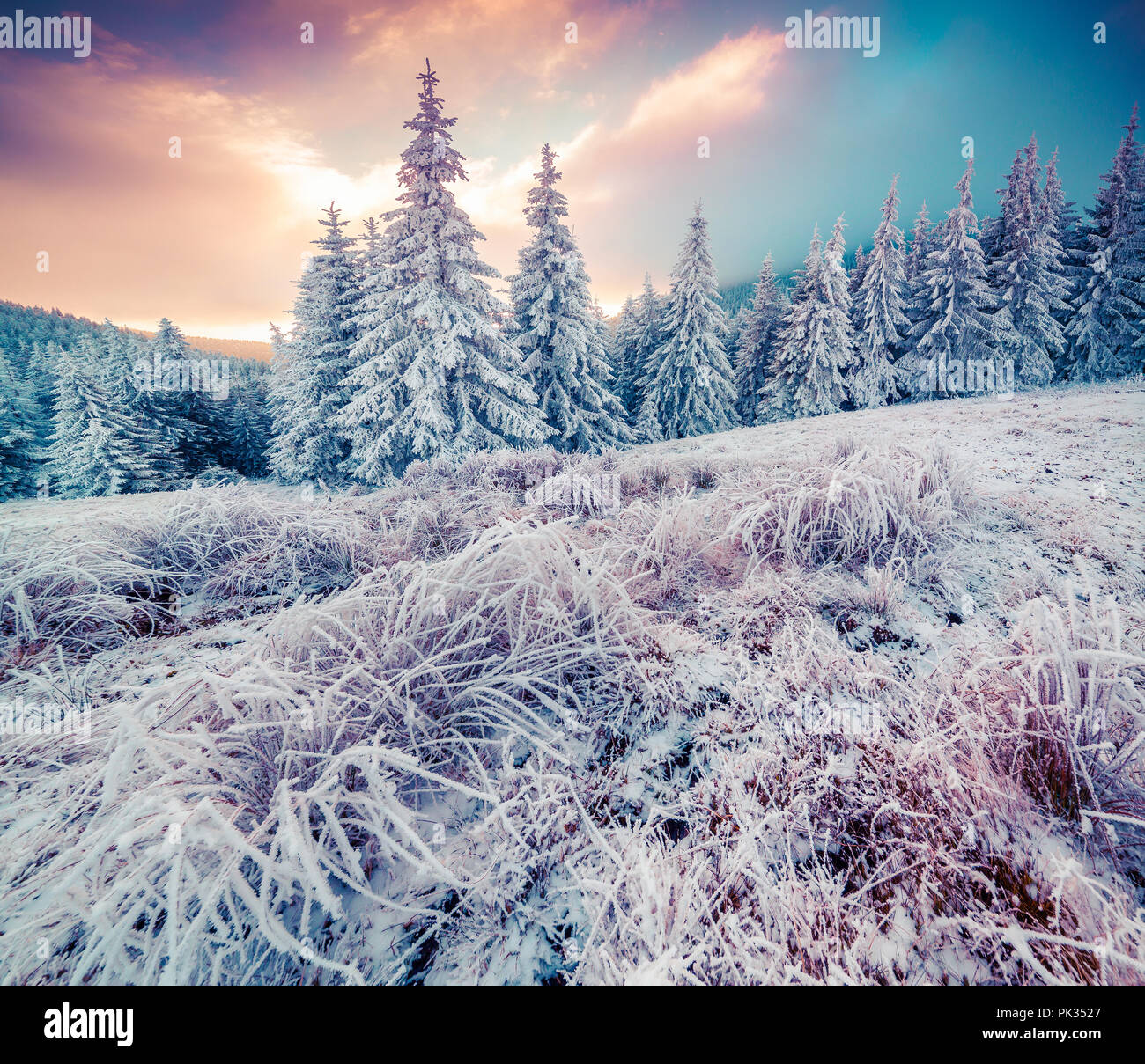 Colorful winter sunrise in the Carpathian mountain forest. Ukraine, Europe. Instagram toning. Stock Photo