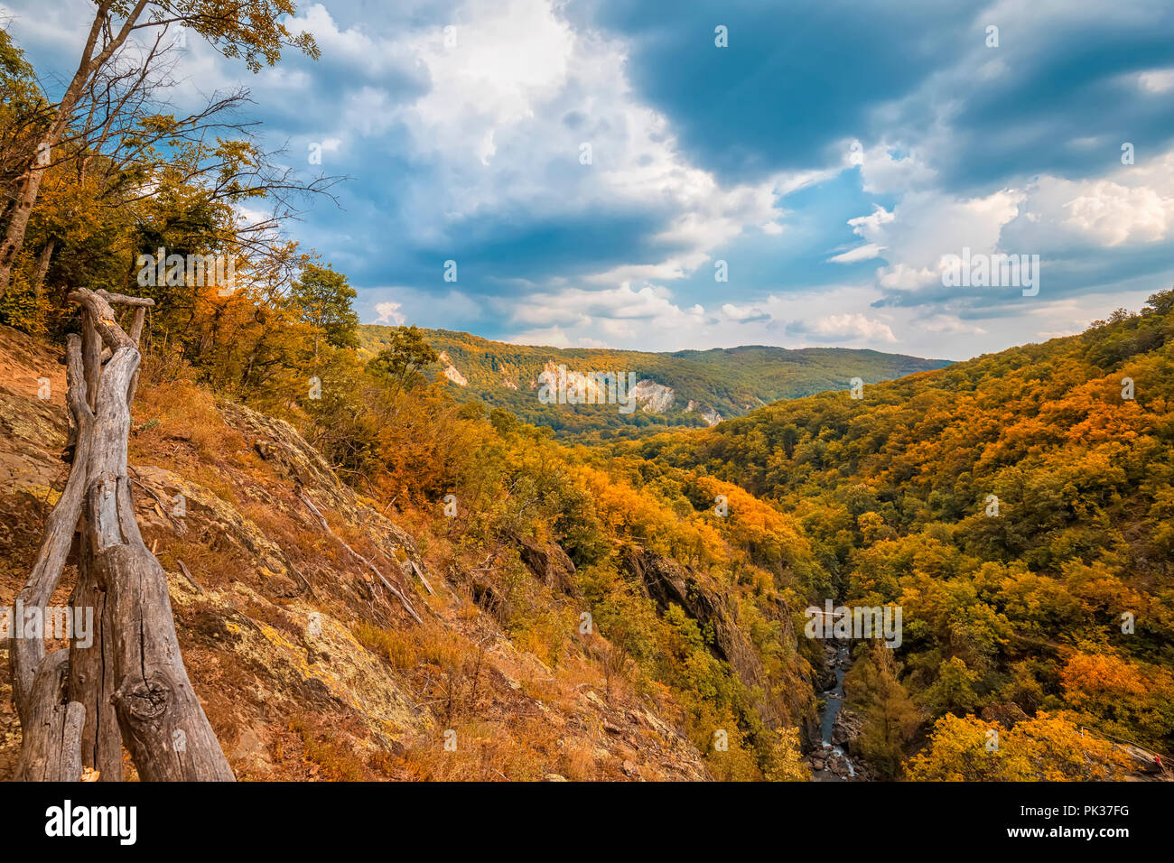 the mountain autumn landscape with colorful forest Stock Photo - Alamy