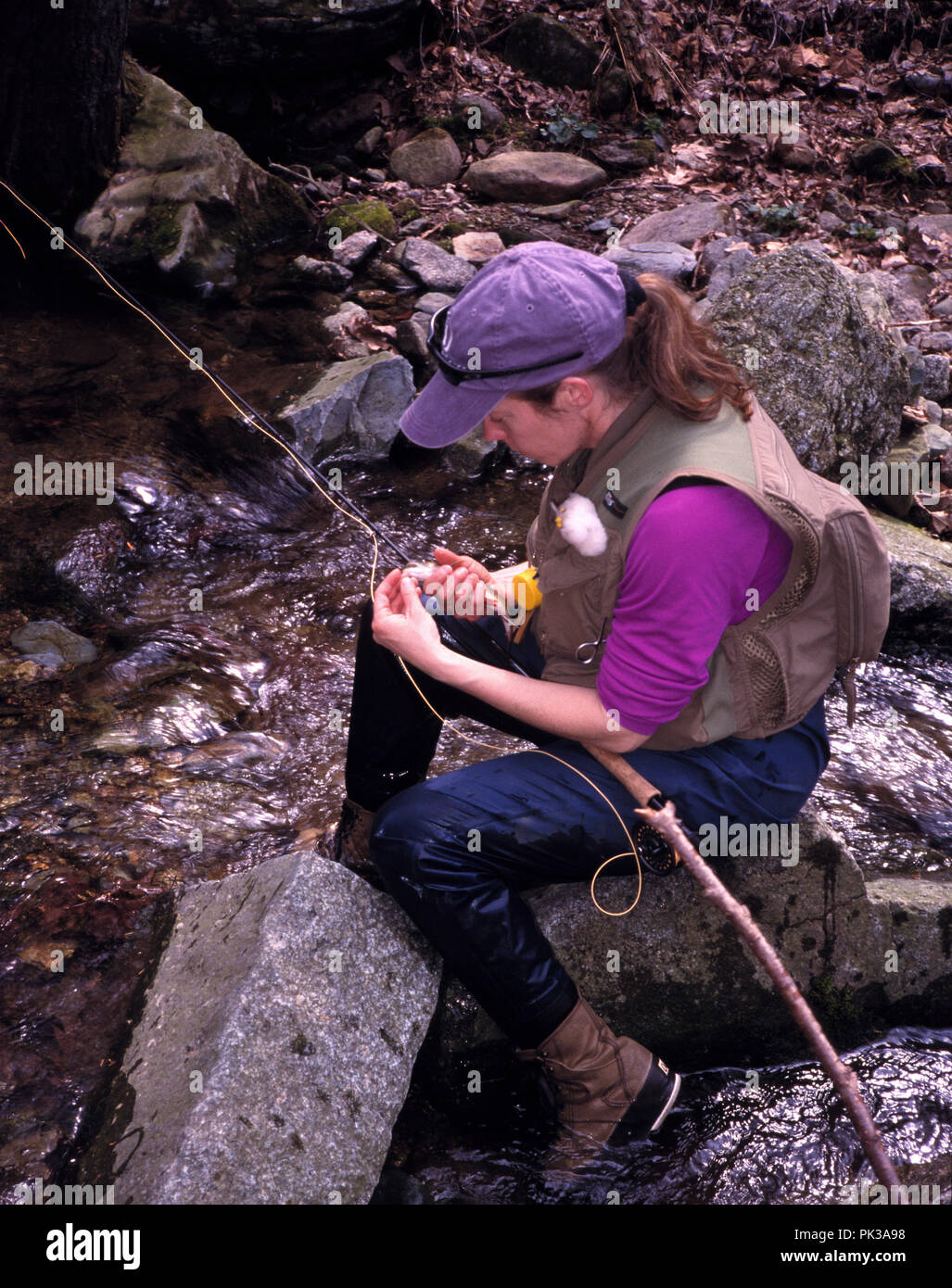 1flyfishing041201 -- Fly fishing for brook trout on the East Hawksbill Creek in the Shenandoah National Park, Virginia. Stock Photo