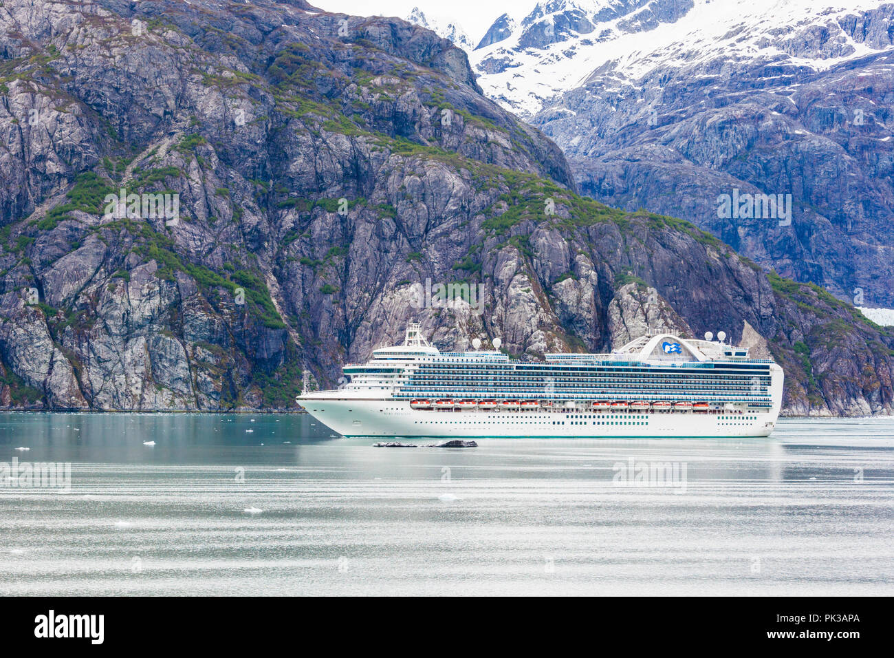 The Princess Cruises 'Ruby Princess' in the Tarr Inlet of Glacier Bay, Alaska, USA - Viewed from a cruise ship sailing the Inside Passage Stock Photo