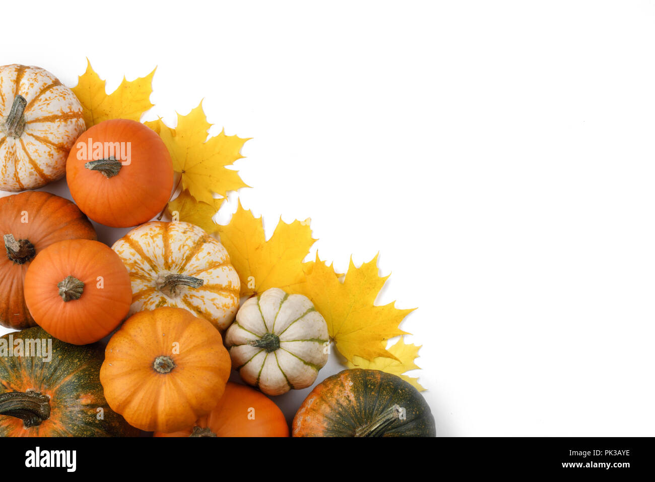 Many pumpkins and maple leaves isolated on white background , Halloween ...
