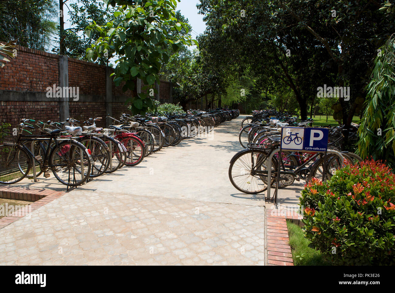 A busy cycle rack outside a garment factory in Bangladesh. Stock Photo