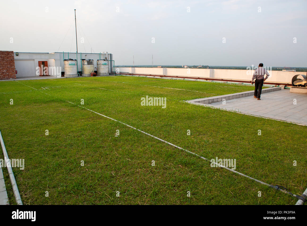 Grass growing on the roof of a garment factory in Bangladesh. Stock Photo