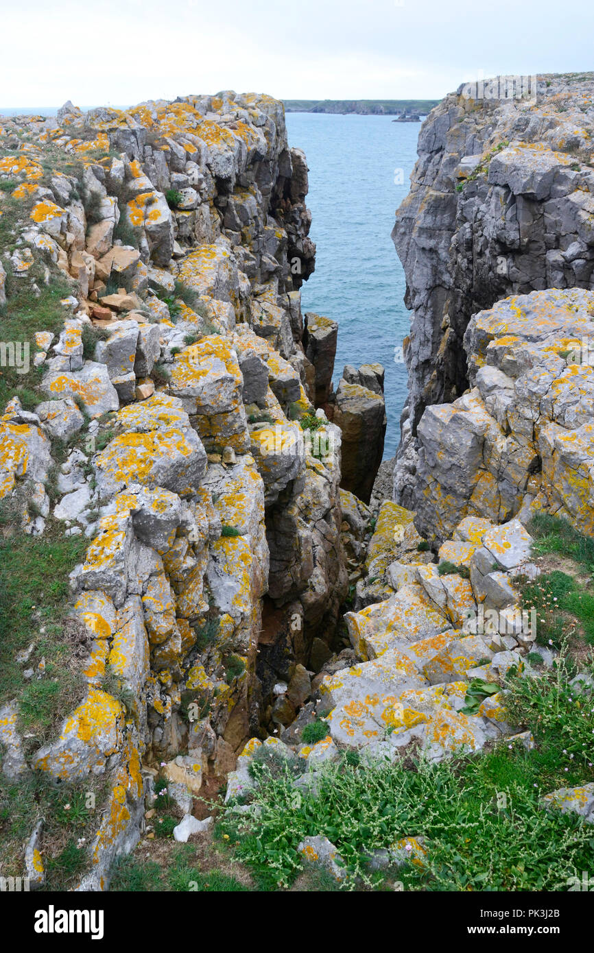 Coastal erosion on the Stackpole Estate, Pembrokeshire, Wales, UK Stock ...
