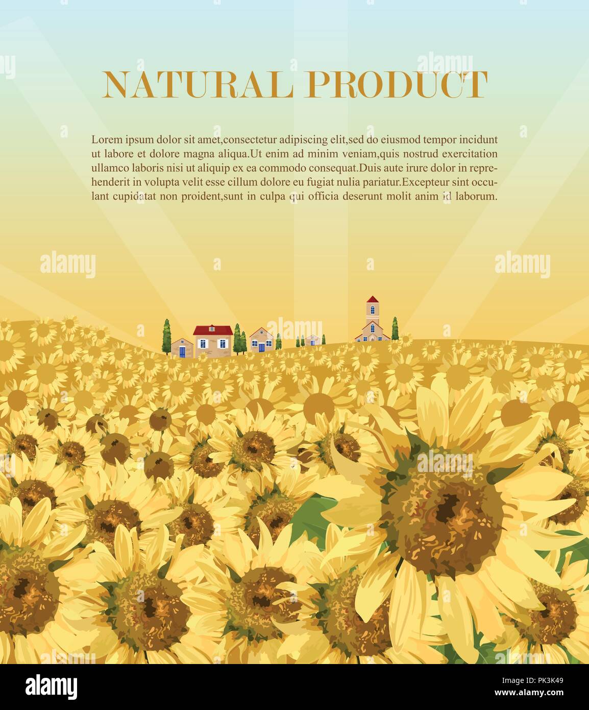 Sunflowers field background Vector. Summer beautiful card Stock Vector