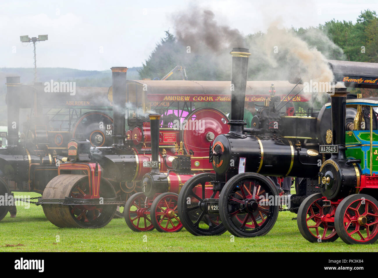 Steam Traction Engines at a Vintage Vehicle Rally Stock Photo