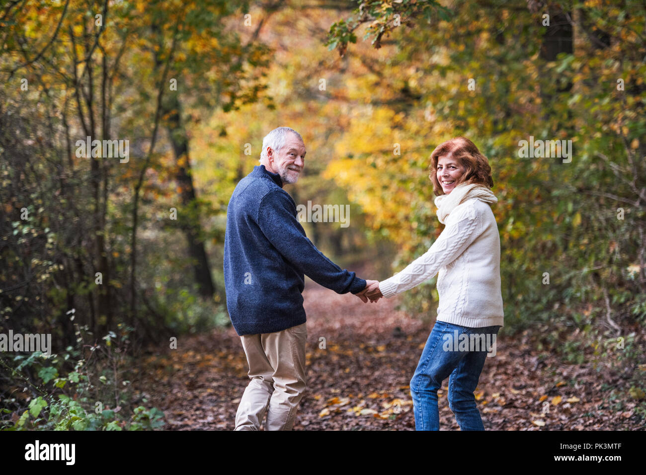 A senior couple walking in an autumn nature holding hands and looking ...