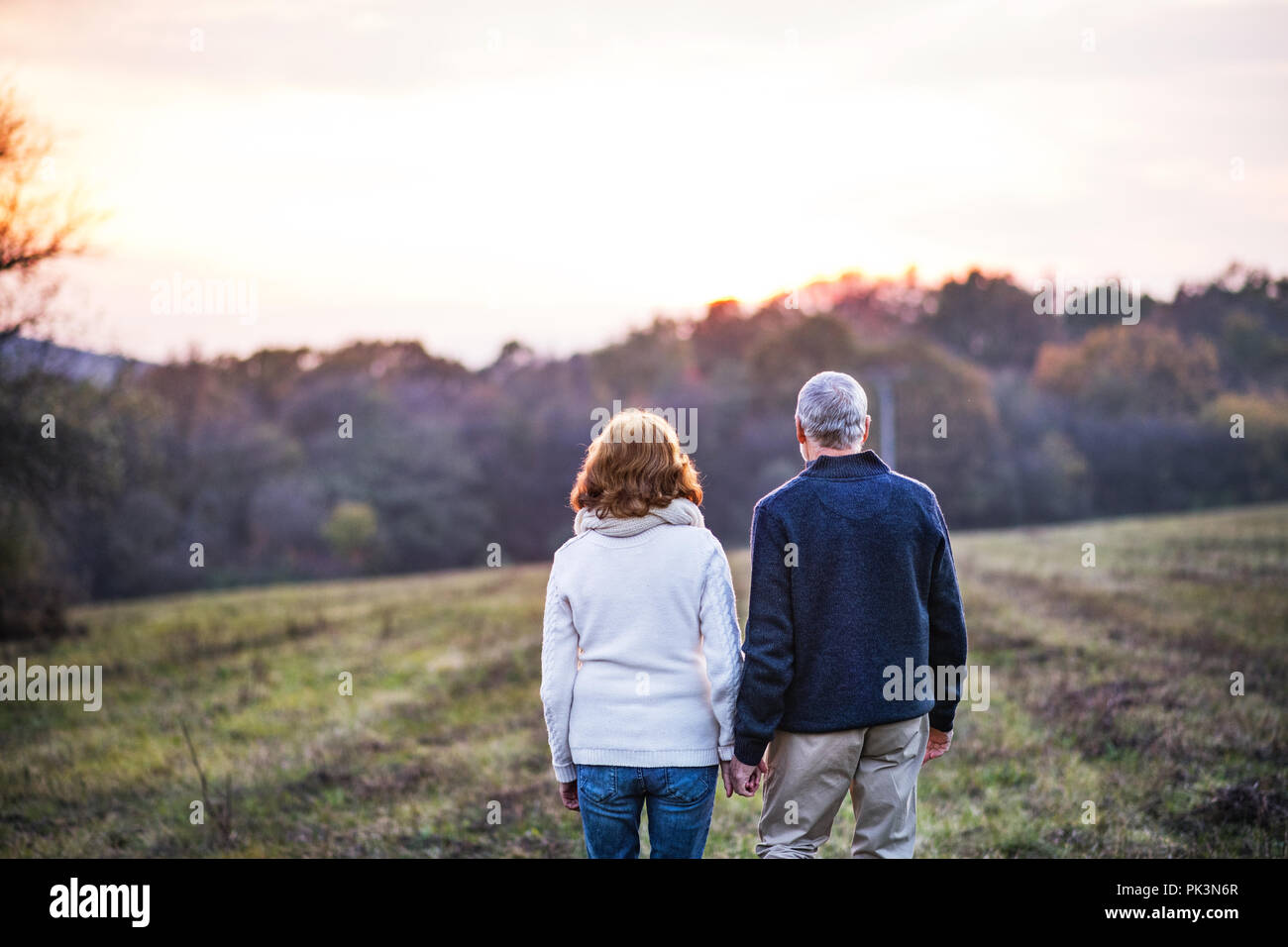 Senior couple walking in an autumn nature, holding hands Stock Photo ...