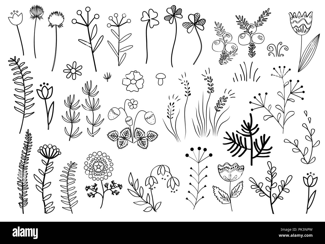 Floral graphic Black and White Stock Photos & Images - Alamy