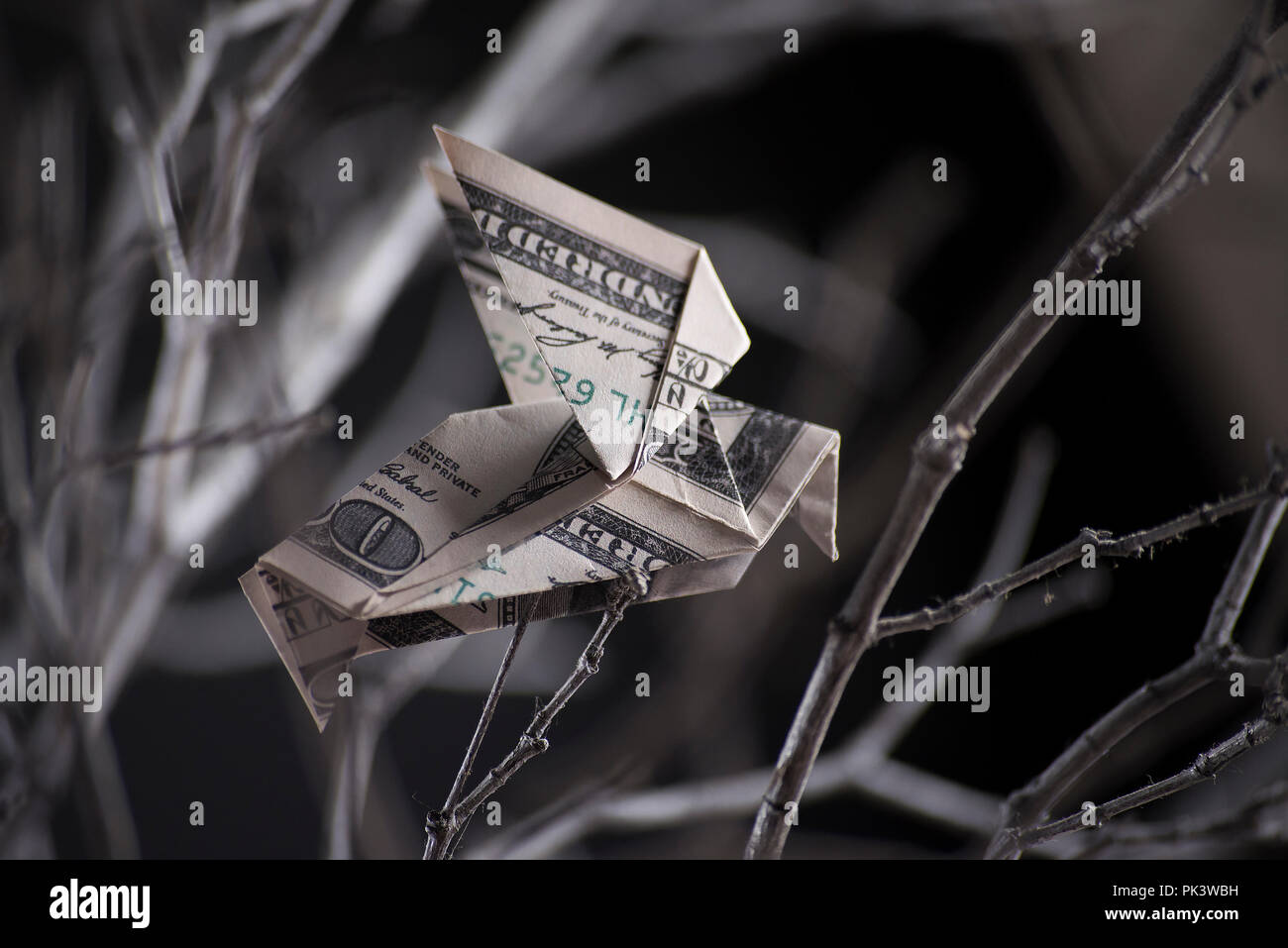 origami bird from banknotes Stock Photo