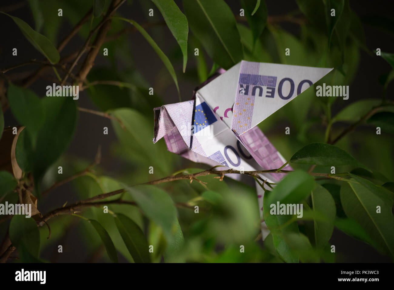 origami bird from banknotes Stock Photo - Alamy
