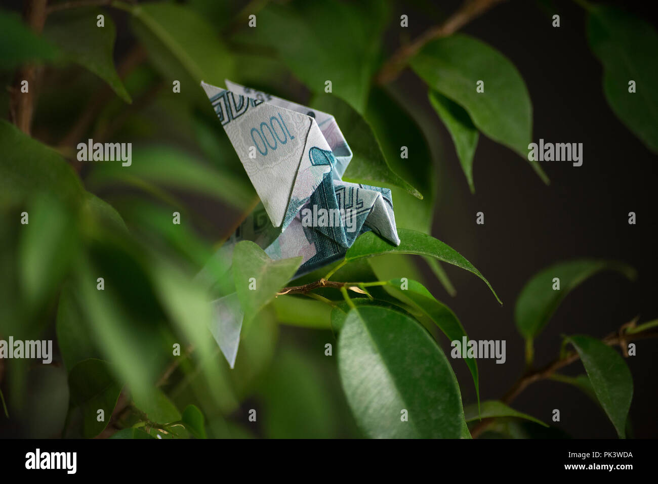 origami bird from banknotes Stock Photo - Alamy