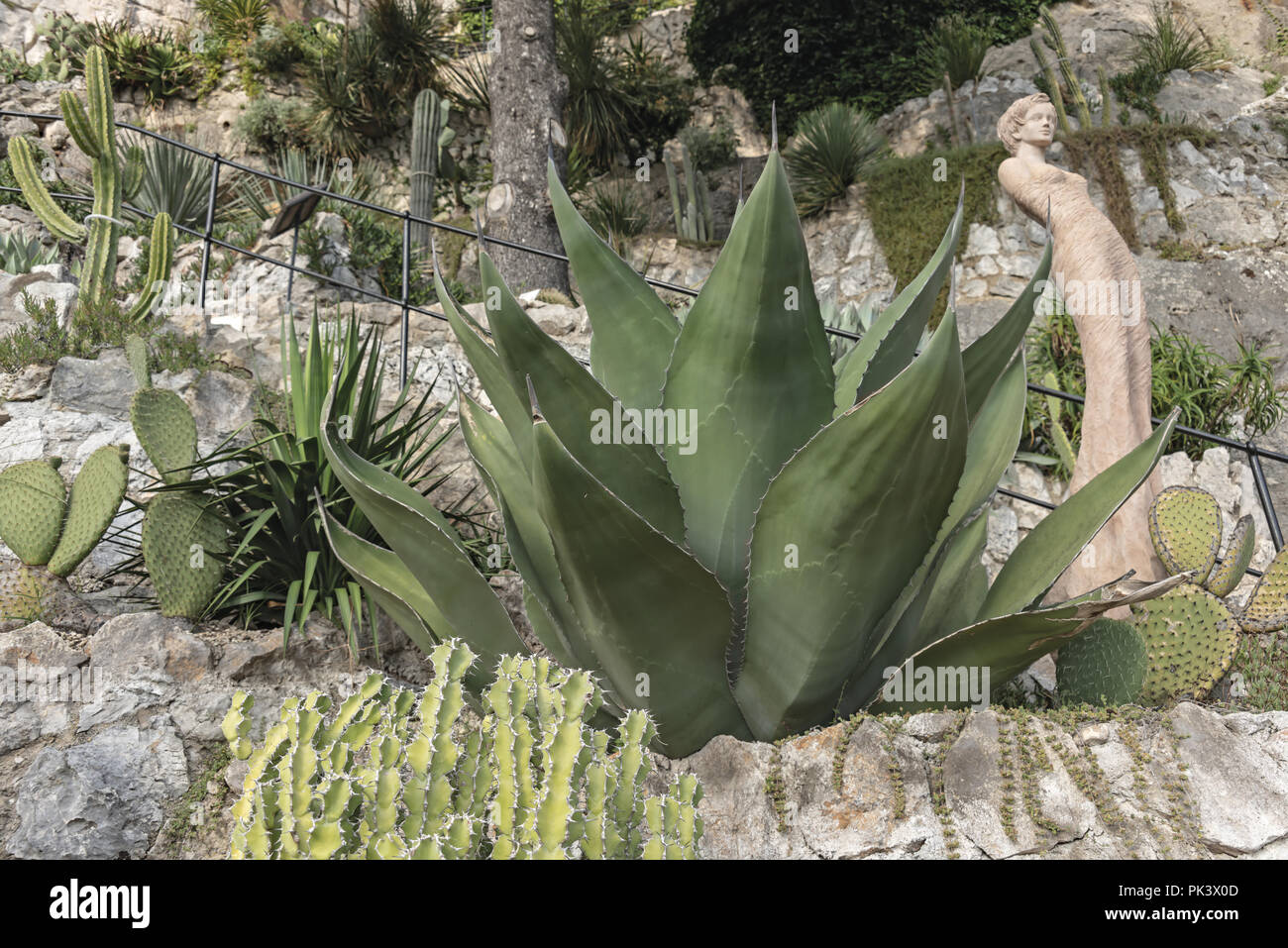 Francia Nizza Eze Città medievale giardino botanico succulente 16 Stock Photo