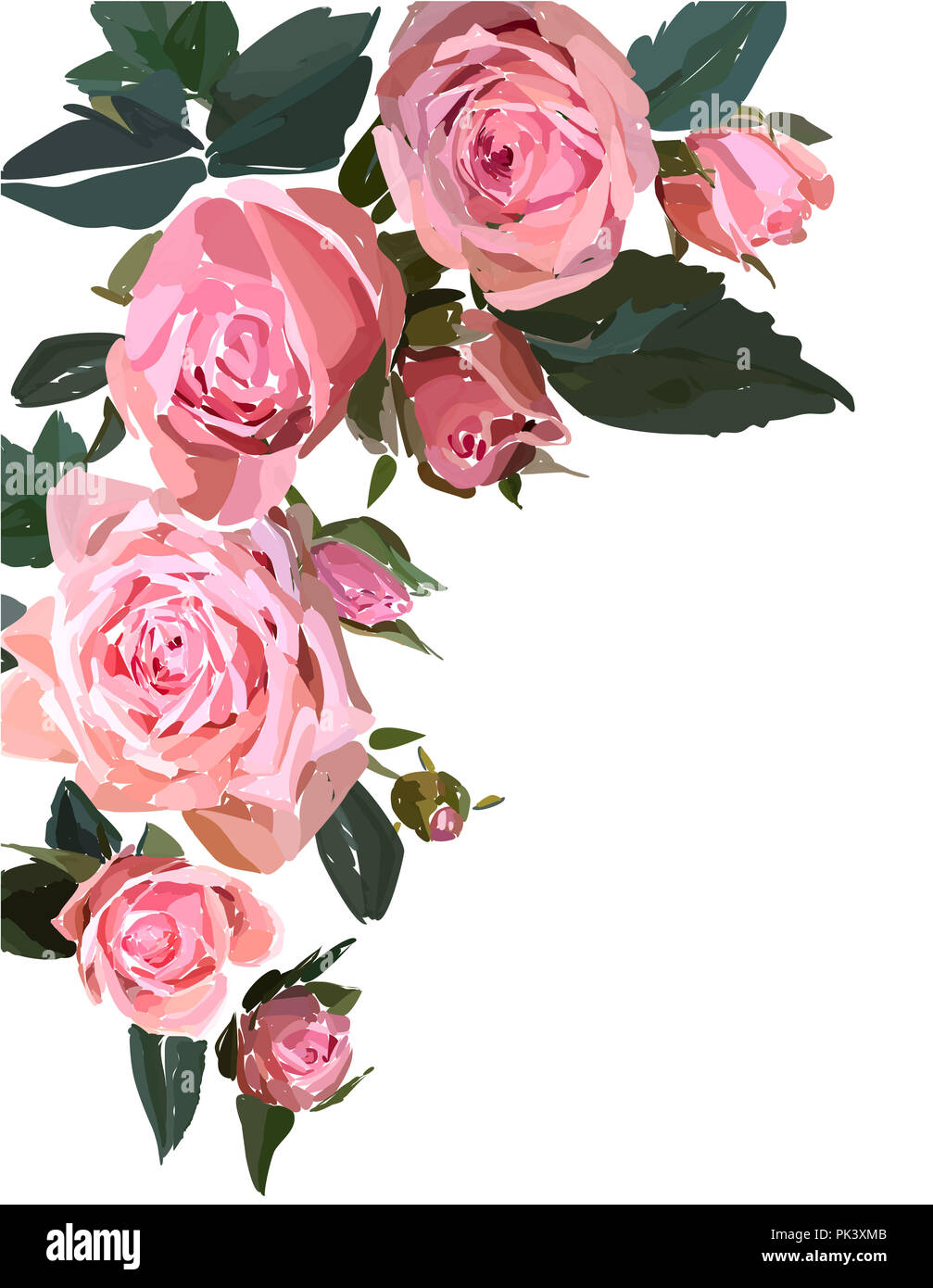 Floral design illustration. Garden flower pink rose isolated on white ...