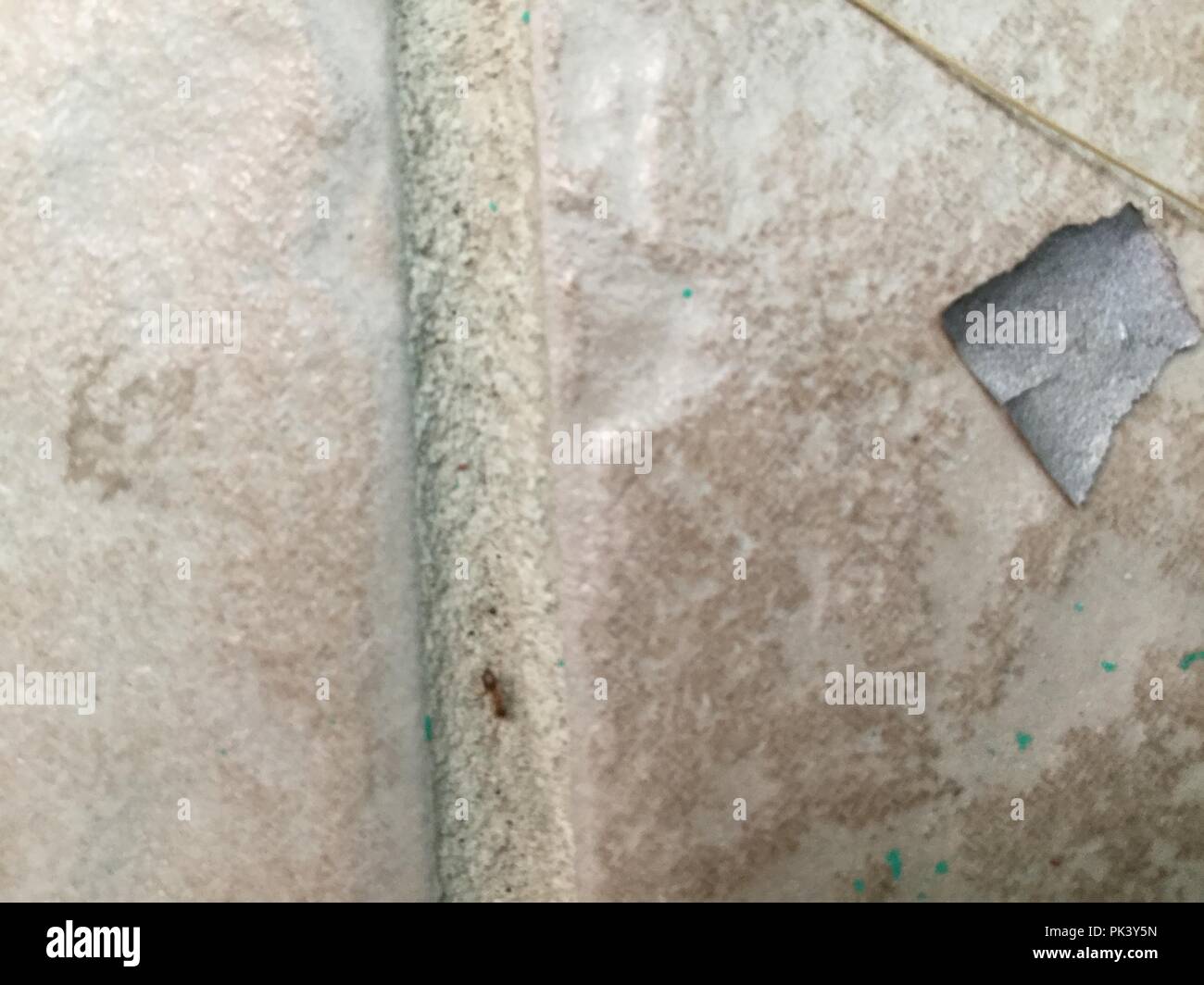 Chipped tile and grout. Stock Photo
