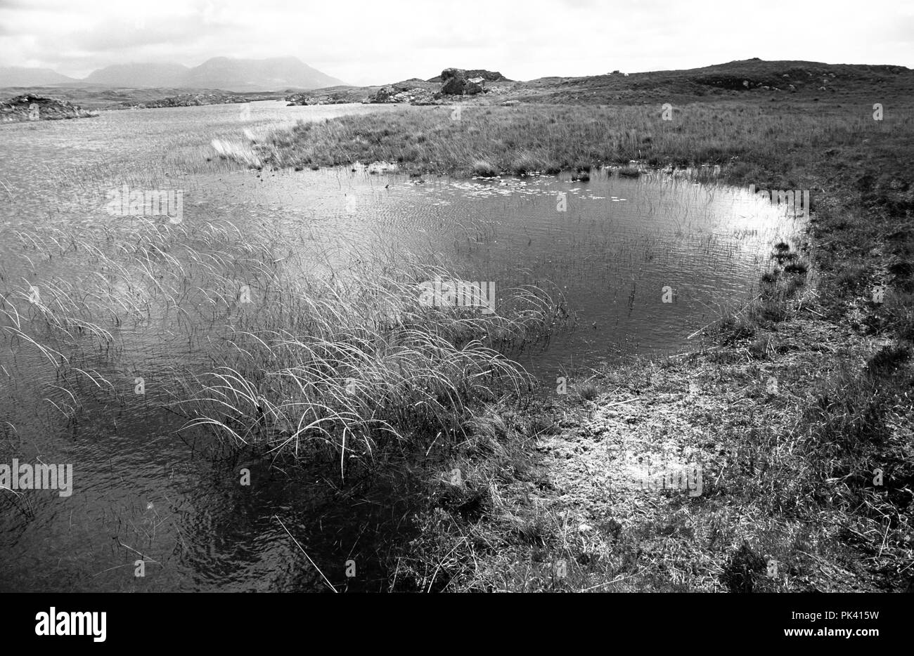 Roundstone Blanket Bog, Connemara, County Galway, Ireland, Europe. Stock Photo