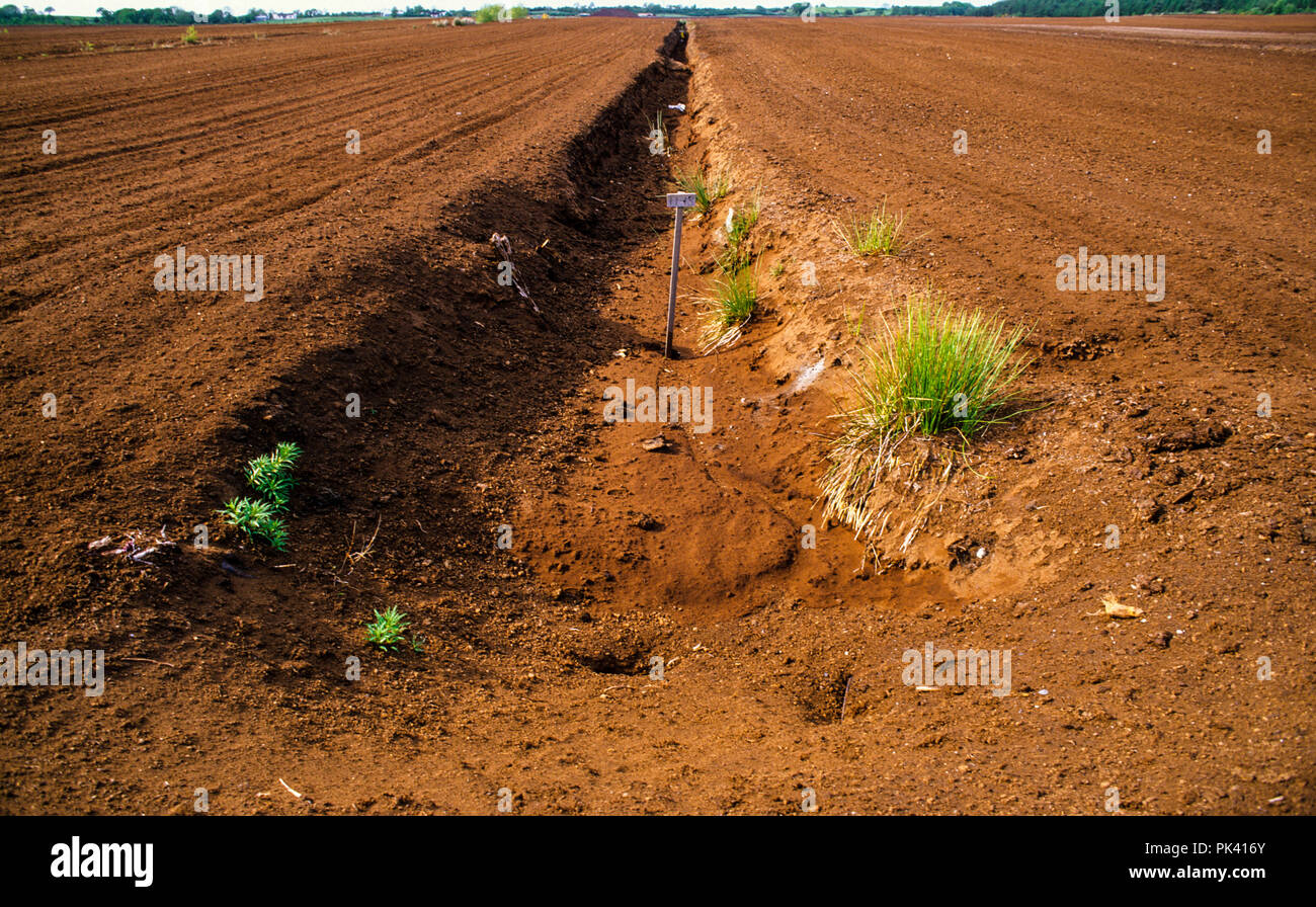 Peat Extraction for UK Market, All Saints Bog and Esker SAC, Offaly,  Ireland Stock Photo - Alamy