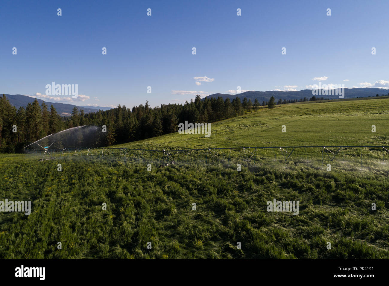 Aerial view of green field Stock Photo - Alamy