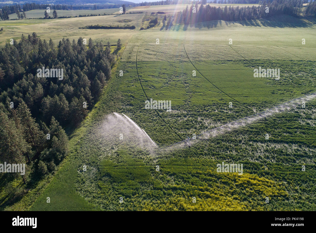 Aerial view of green field Stock Photo - Alamy