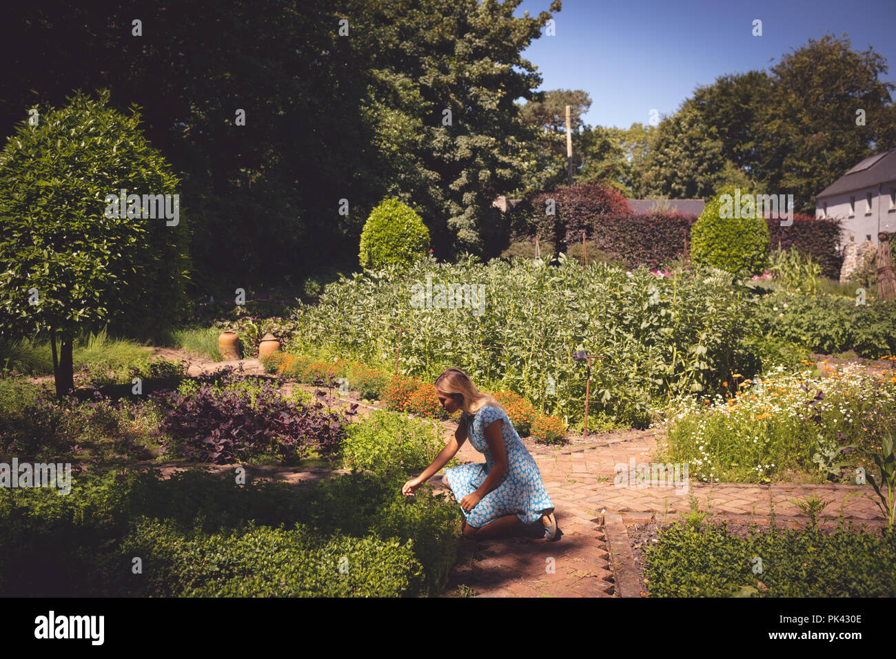 Woman touching plant in the garden Stock Photo