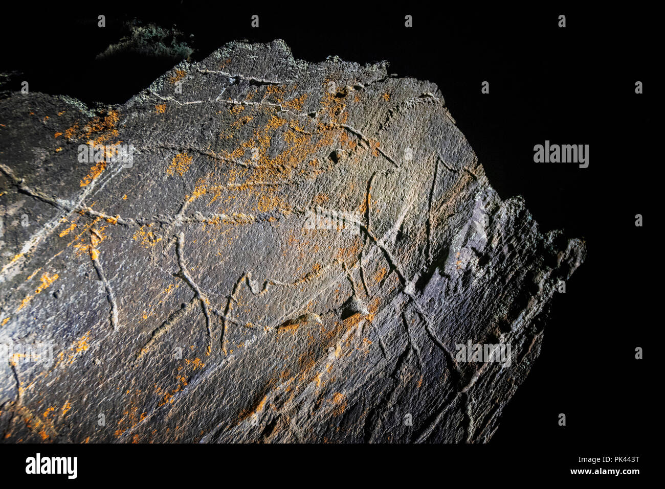 Prehistoric Rock Art, Coa Valley Archaeological Park ( Parque Arqueologico do Vale do Côa), a UNESCO World Heritage Site. Vila Nova de Foz Côa, Alto D Stock Photo