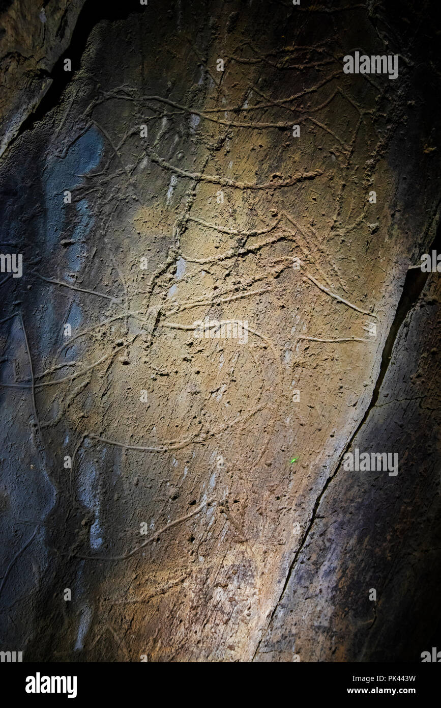 Prehistoric Rock Art, Coa Valley Archaeological Park ( Parque Arqueologico do Vale do Côa), a UNESCO World Heritage Site. Vila Nova de Foz Côa, Alto D Stock Photo
