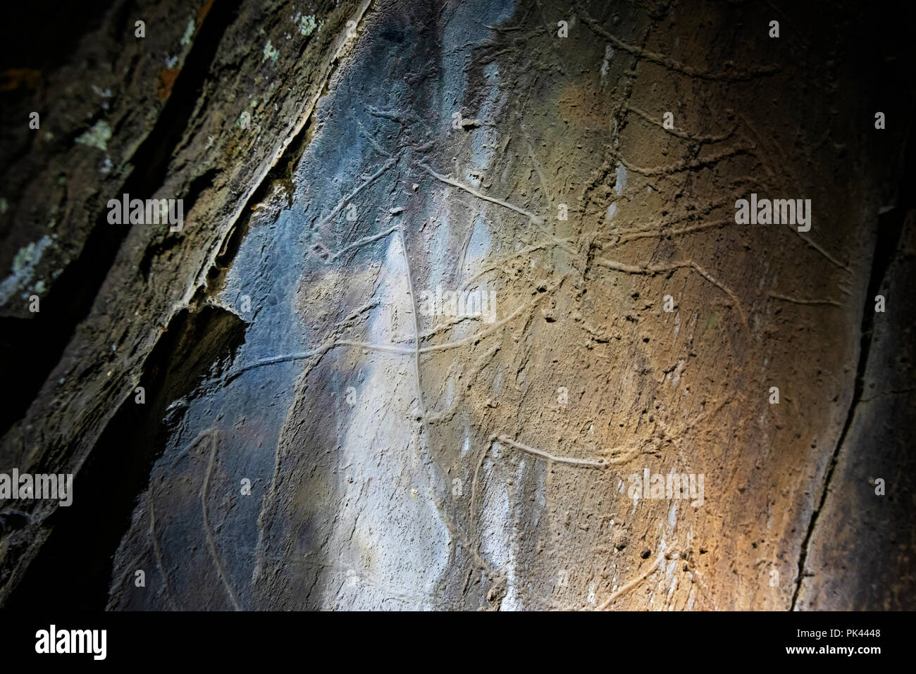 Auroch. Prehistoric Rock Art, Coa Valley Archaeological Park ( Parque Arqueológico do Vale do Côa), a UNESCO World Heritage Site. Vila Nova de Foz Côa Stock Photo