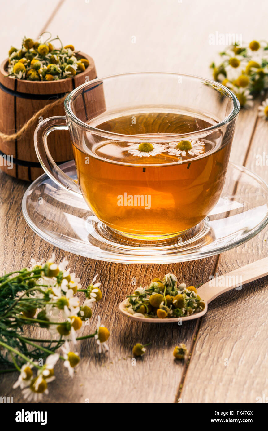 Glass cup of green tea with white chamomile flowers and little wooden barrel with dry flowers of ...